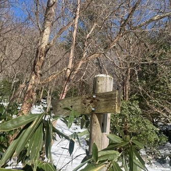 来尾峠の反対側
一兵山家山を縦走してみたい