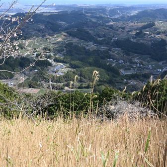 ついた🙌

掛川のお茶畑のグリーンが美しい