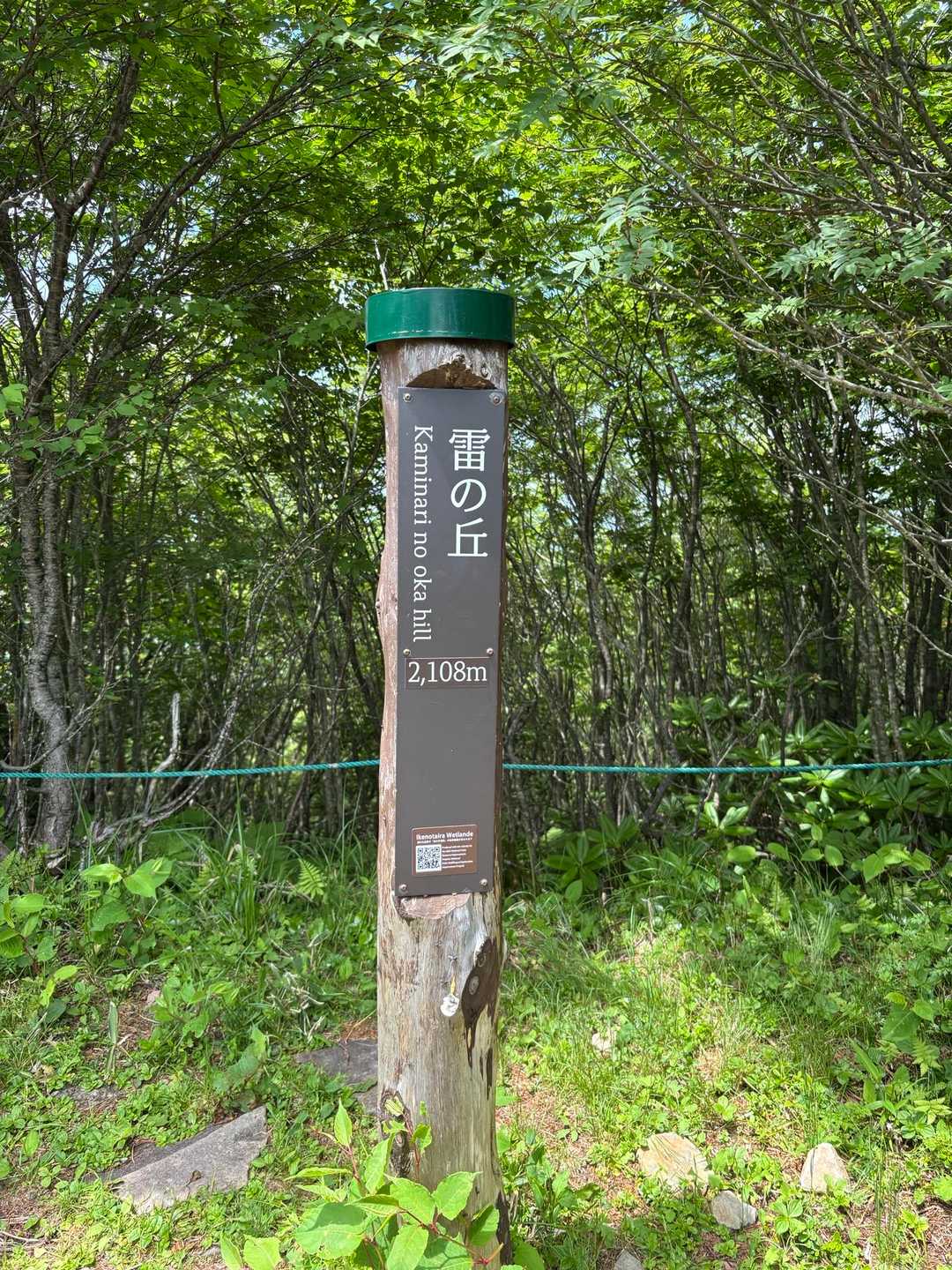 池ノ平湿原入口-雷の丘-雲上の丘-見晴岳-三方ヶ峰-鏡池 周回コースの写真