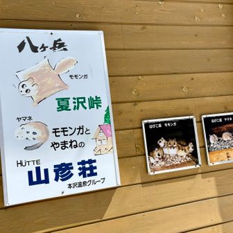 かわいい絵  
ヤマネの顔の見方がどうにもわからん