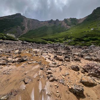 あえて水の中を行くやんちゃ