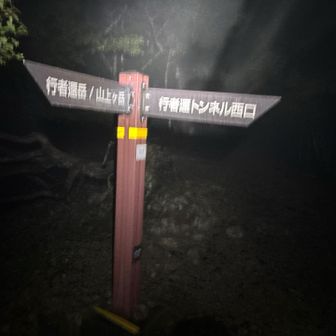 西口の分岐、けっこう距離ありました。