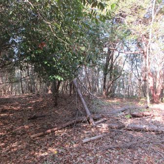 丹生山に到着！