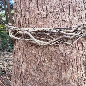 シンボルツリーに選定されたっぽい木。どうやら手書き案内にあったパワースポットのようです。周りもきちんと草が刈り込まれて綺麗にしてありました。