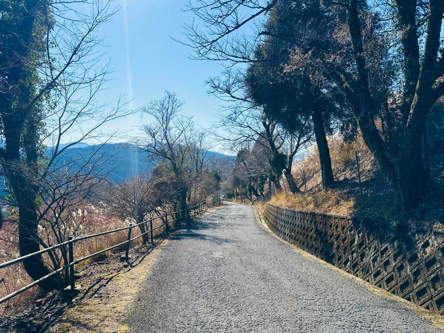 藪漕ぎのあとはもうずっと舗装道
(›´-`‹ )