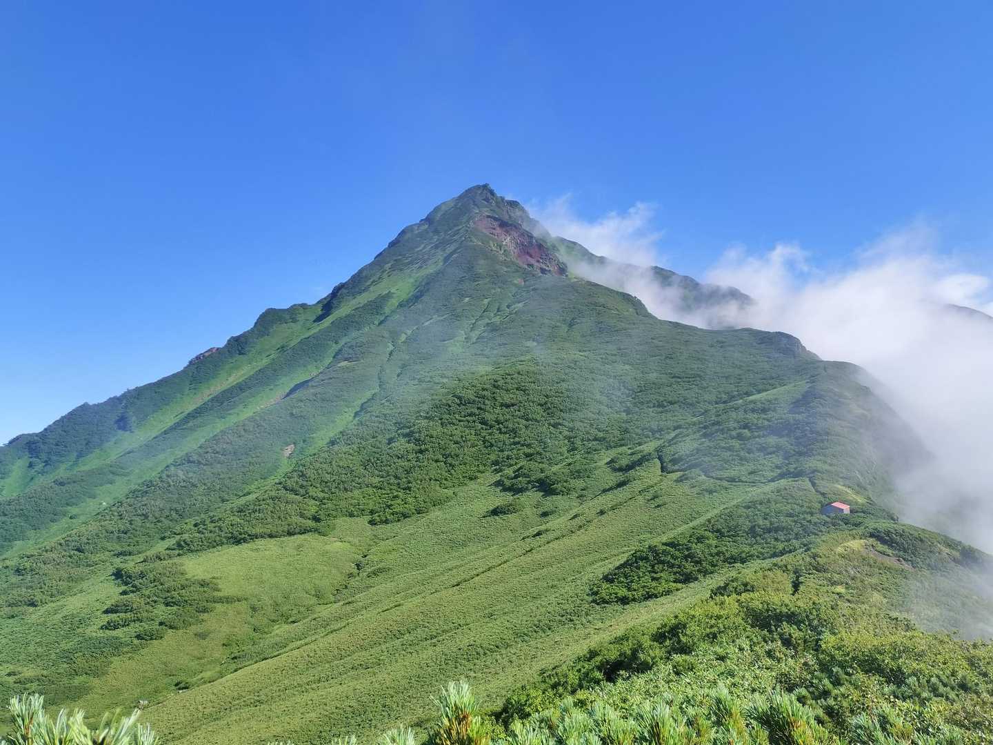 最後にもう一度振り返って利尻山