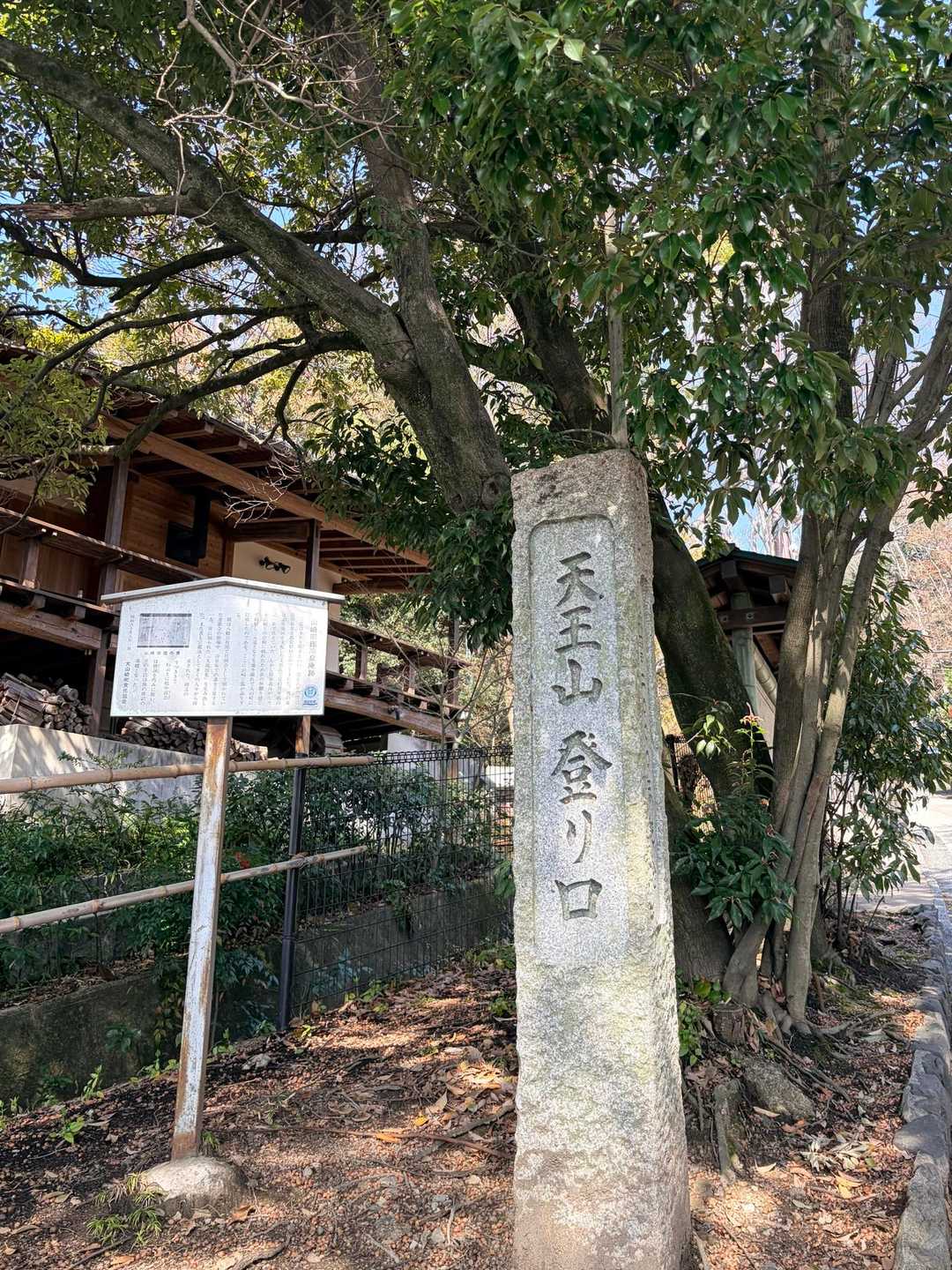 　　　　ミツマタに逢いに行ってきます