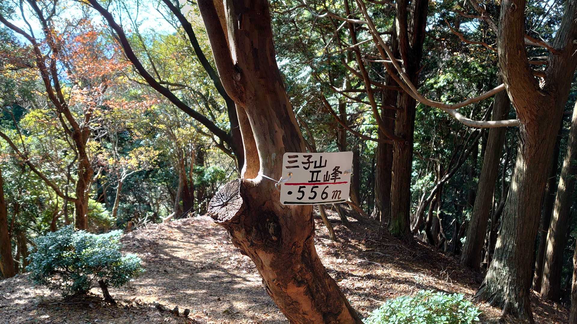 鈴鹿峠-三子山-四方草山 往復コースの写真