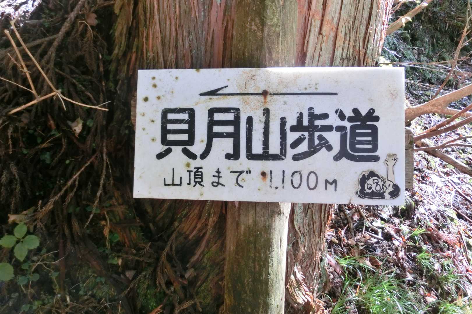 いつもの登山道入口に到達しました！！