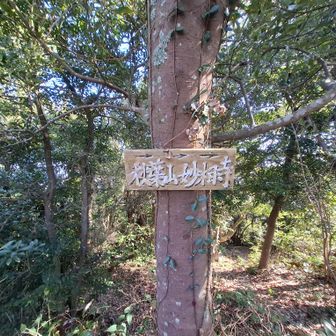「秋葉山、妙相寺」へ降る🚶