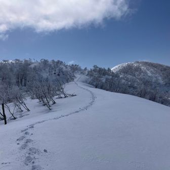 自分の足跡見るのが楽しくて👣
何度も振り返る😆
なんで曲がってるの😆⁉️
右の山🏔️が取立山かな🤔