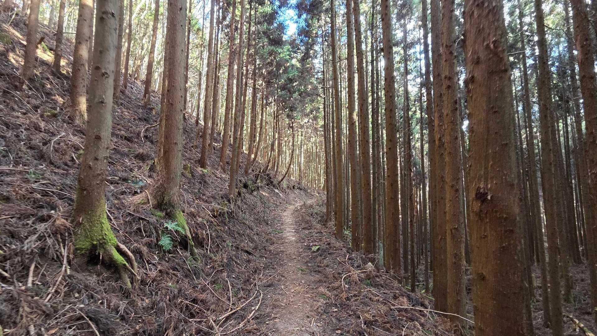 竪破山登山口-黒前神社-竪破山 周回コースの写真