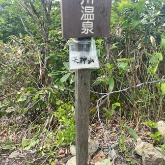 天神山山頂
の標識