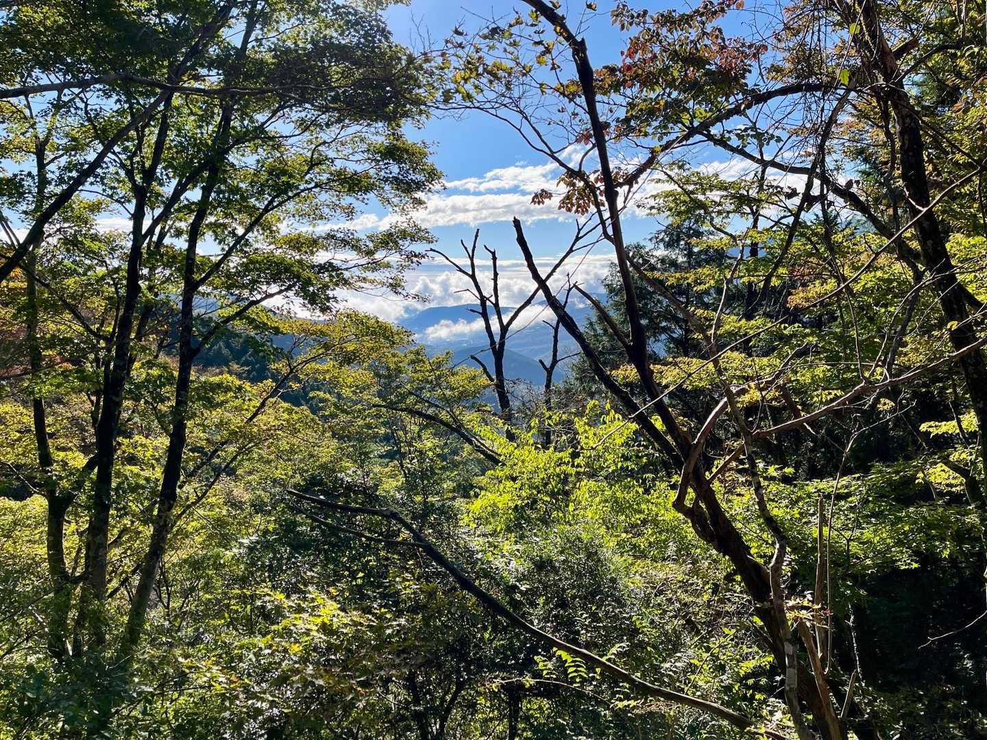 少し視界が開けてきました！