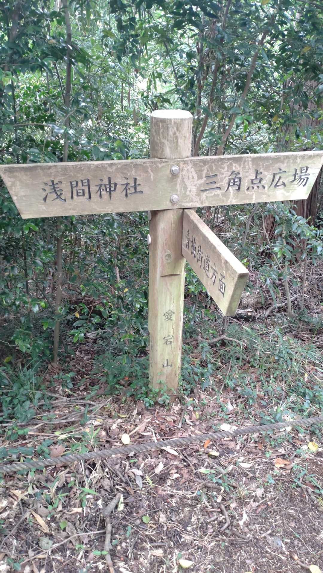 下のほうにこっそり山頂名