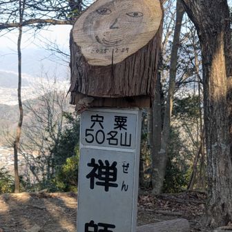 この切り株🪵あちこちに動きます