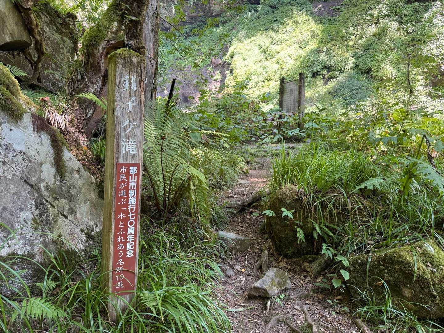 名残惜しく、階段登る覚悟して帰る。