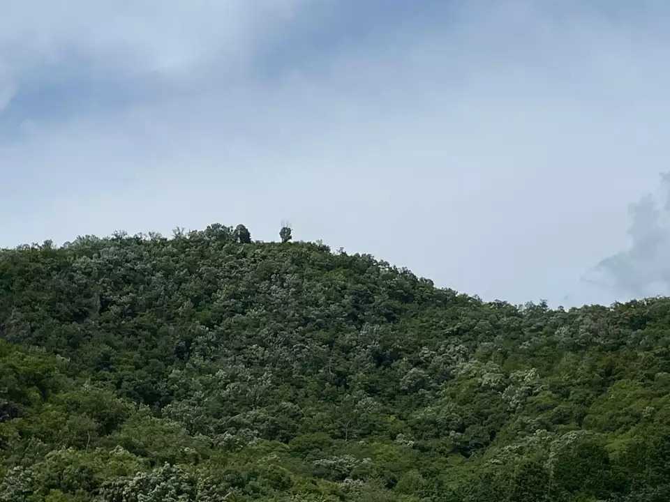 野一色権現山の写真