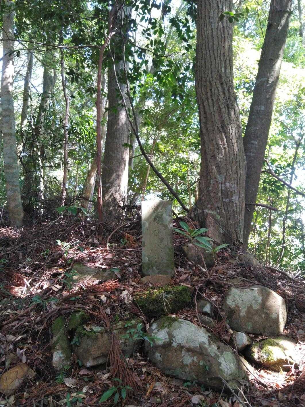 どなたかの何か？(　・ω・)