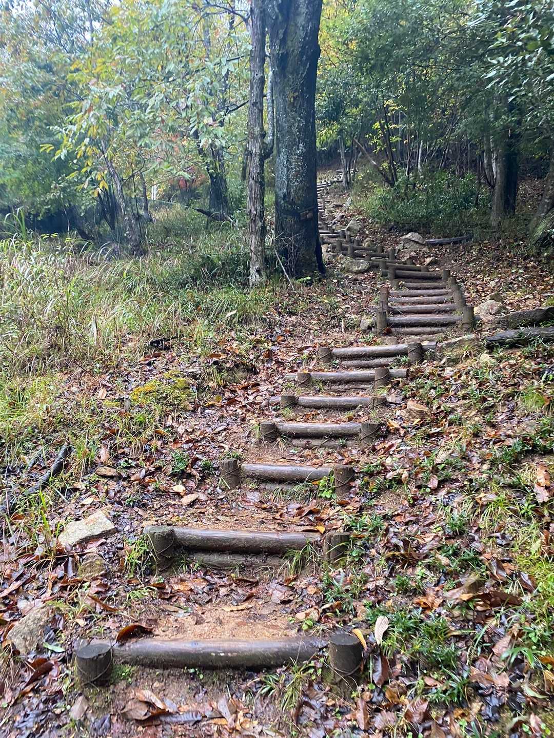 竹田城山 周回コースの写真
