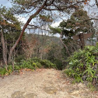 寒いので一気に神田山まで戻って来た