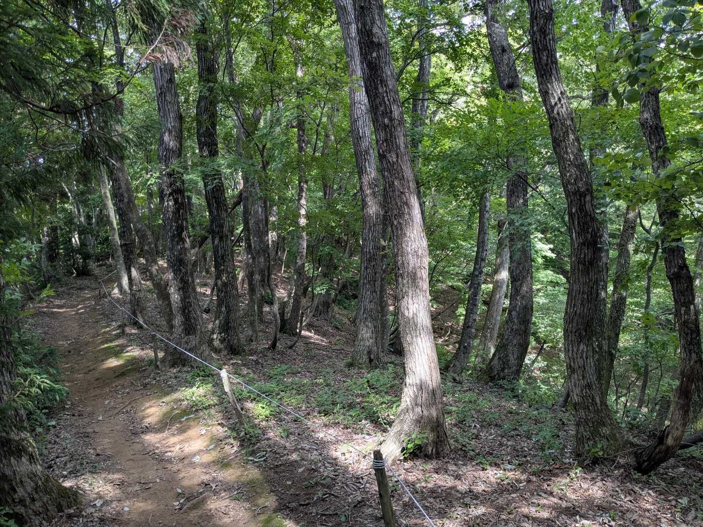 大正寺登山口-榎坂峠-文殊山 往復コースの写真