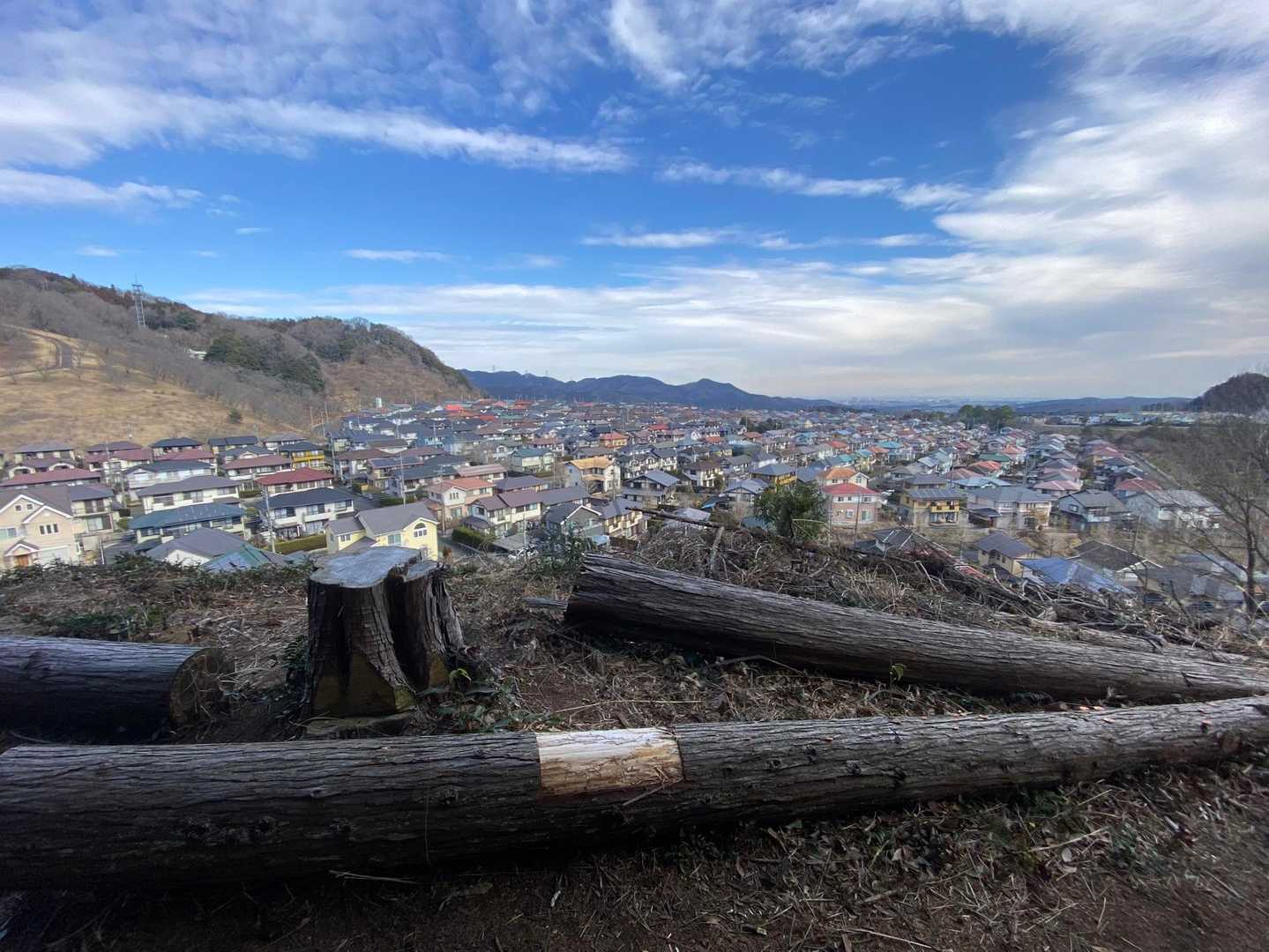 登山道から住宅街が眺められます。