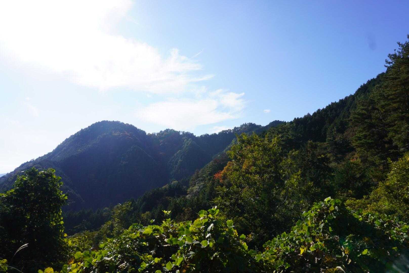 歩いた稜線🤗
