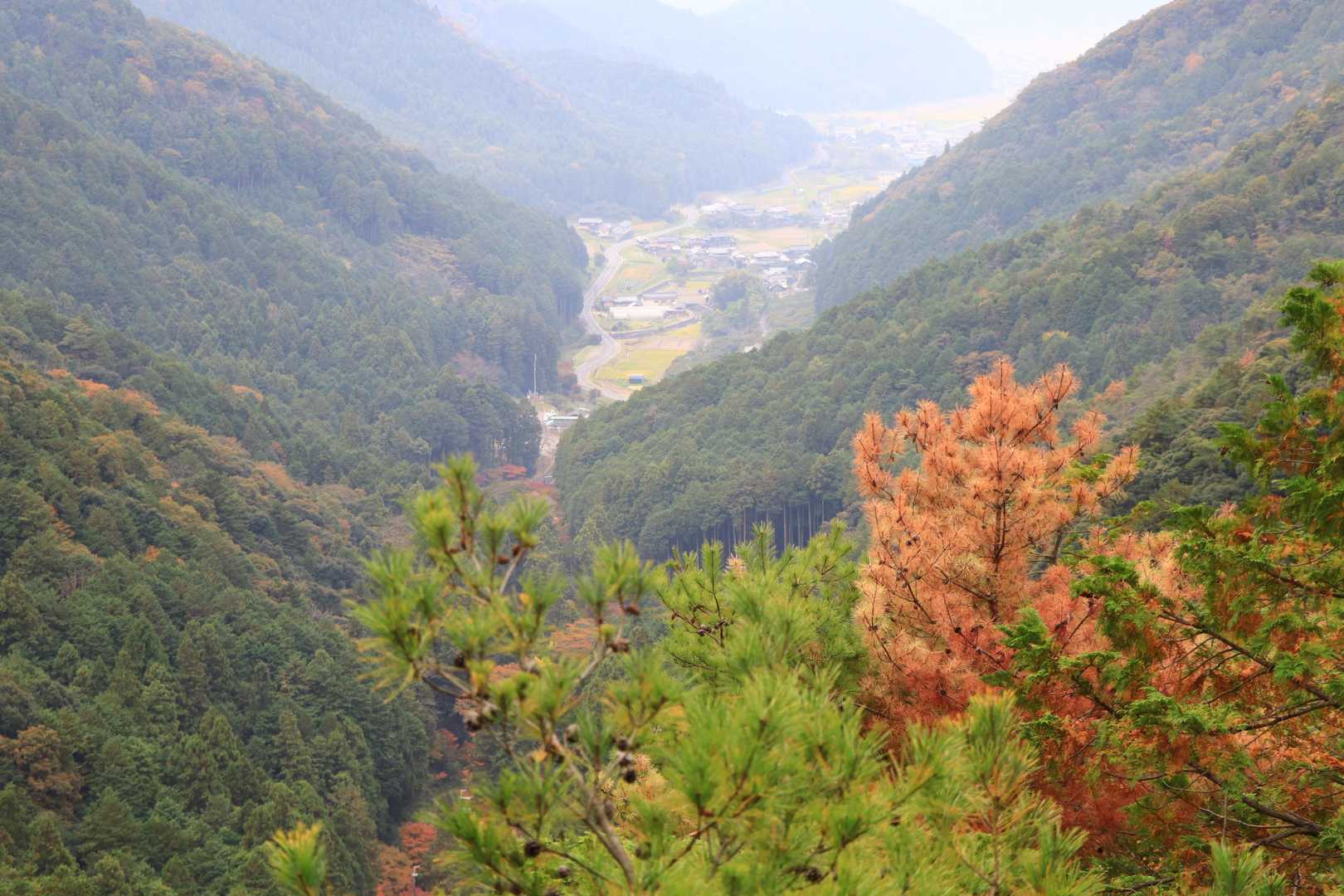 丹波市山南町岩屋の集落が見える