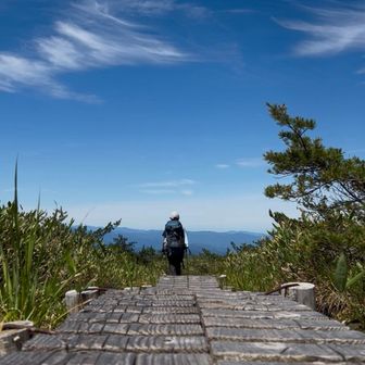 となりのゆりちゃん
