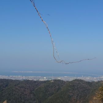 枝が邪魔やけど奥に関空
こんな場所で撮影した理由と
12枚目に感じた違和感の理由は
15枚目の写真に