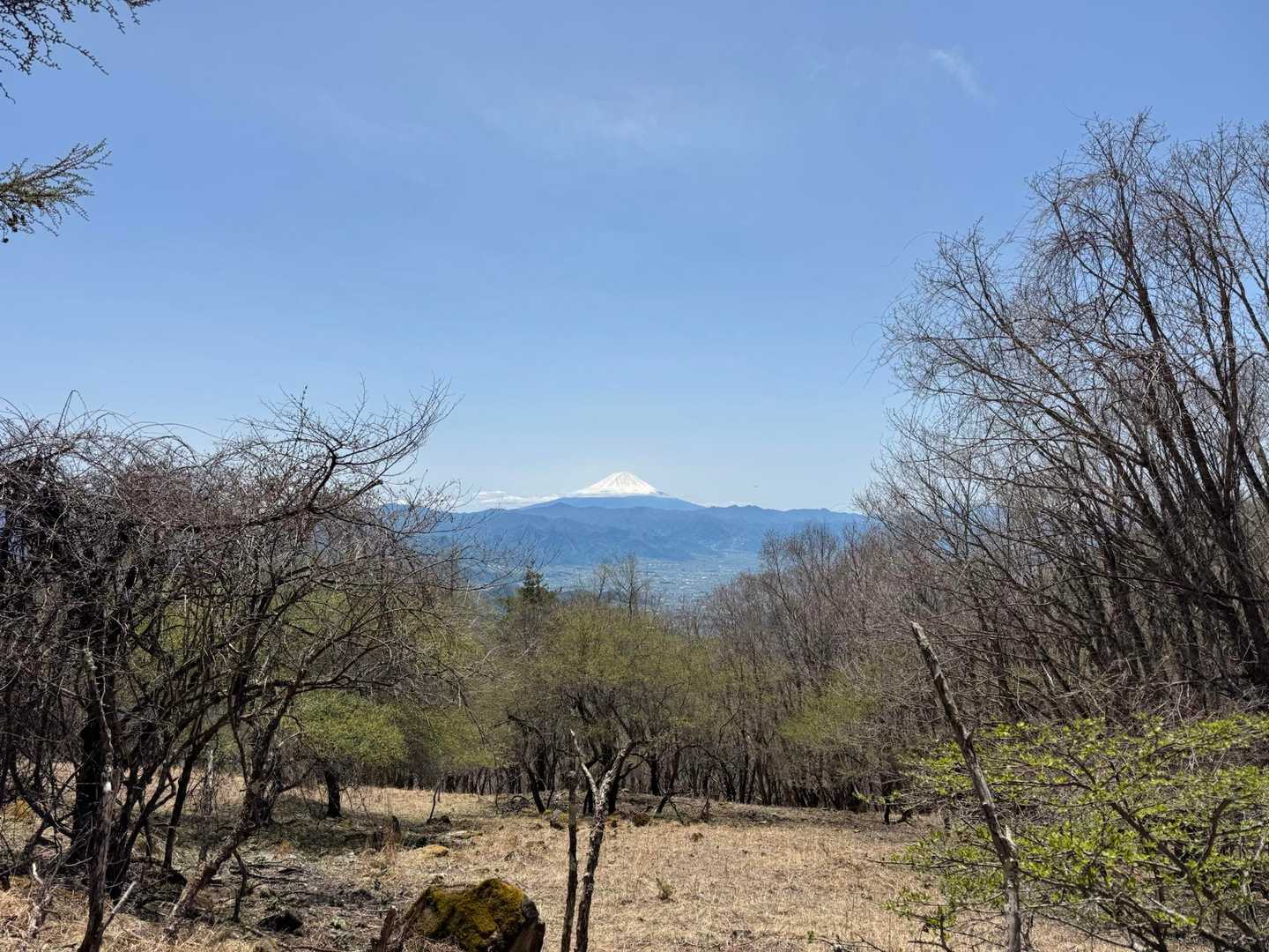 乾徳山登山口バス停-乾徳山登山口-乾徳山-道満山-徳和峠 周回コースの写真