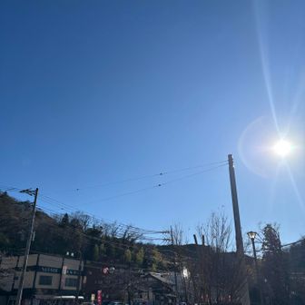 土曜日程混んでいませんでしたが賑わっていました