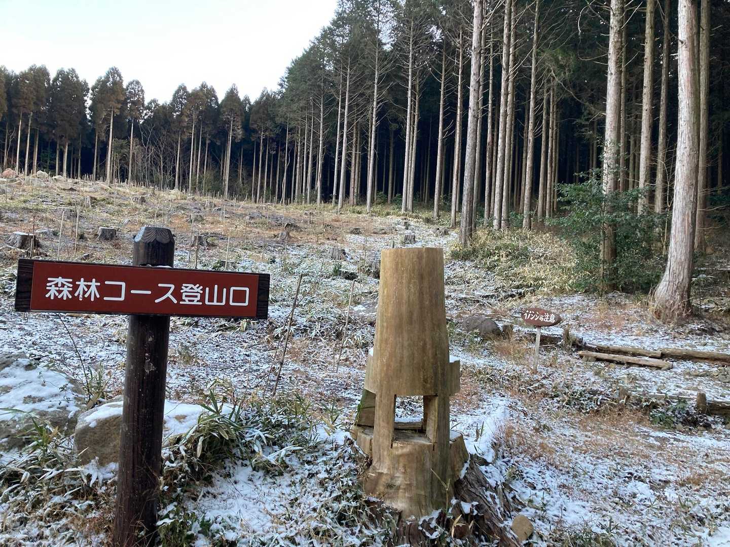 久しぶりにここから