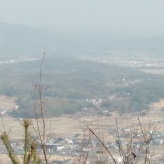 黄砂と背景で見にくいが備中国分寺五重塔