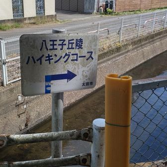 ここから民家がある車道を進みます🚶‍♀️
途中のコンビニに寄り道♡
アイス購入(*´-`)