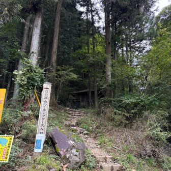 ここから登るんだね。