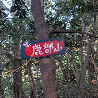 展望台から奥に行くと鹿部山山頂