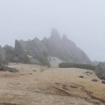 この辺りからガス
