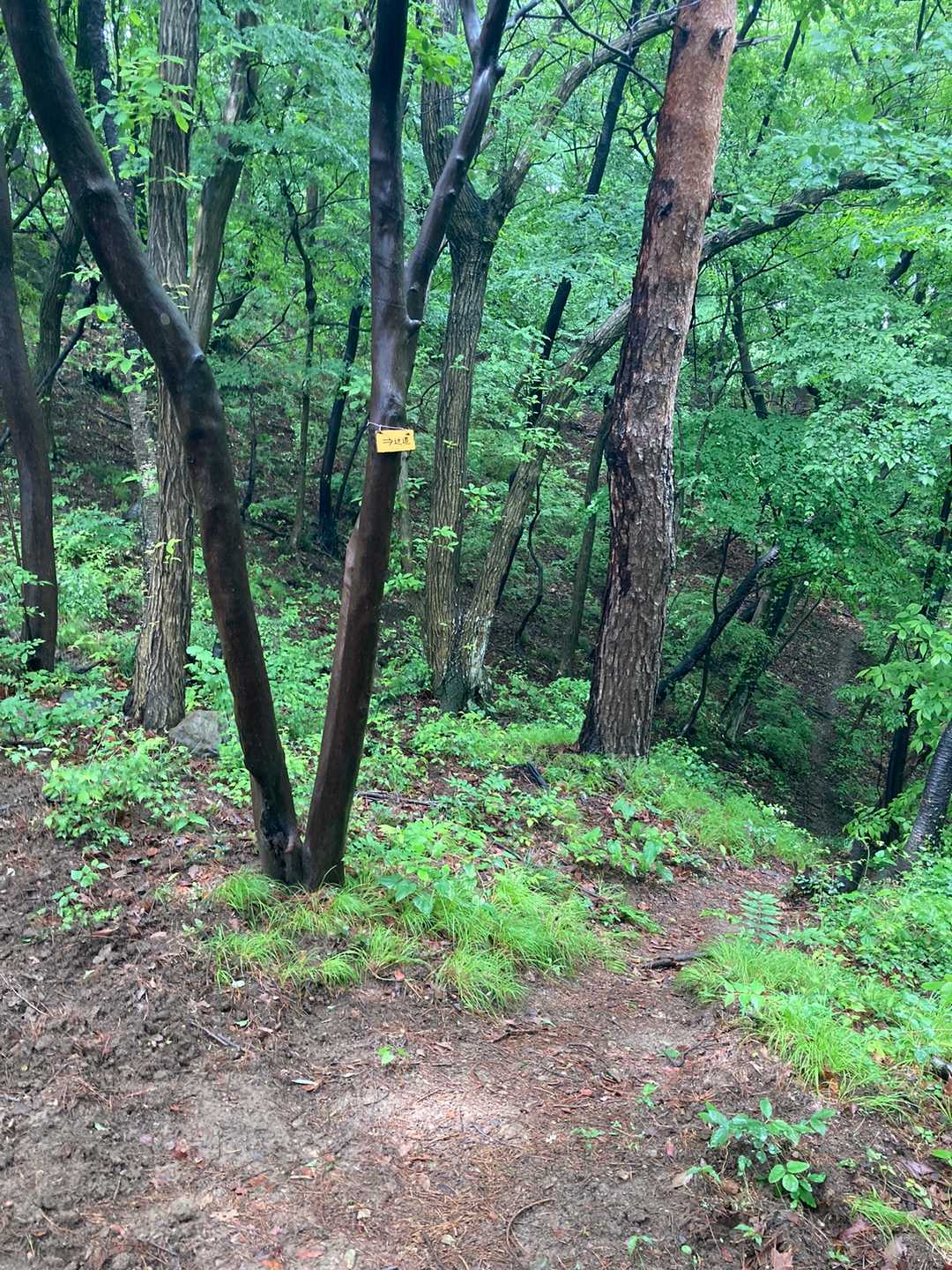 近道近道🚶‍♀️