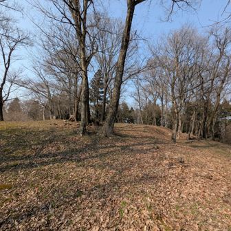 山頂？ここに郭があったのかな？👍