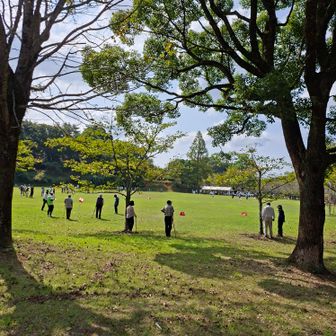 甘木公園で
グランドゴルフの大会が行われていた。
芝生でのゴルフ。
素敵です！