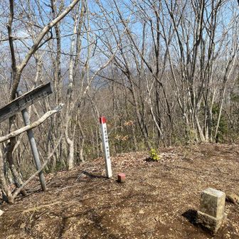 わかりにくい先がここ