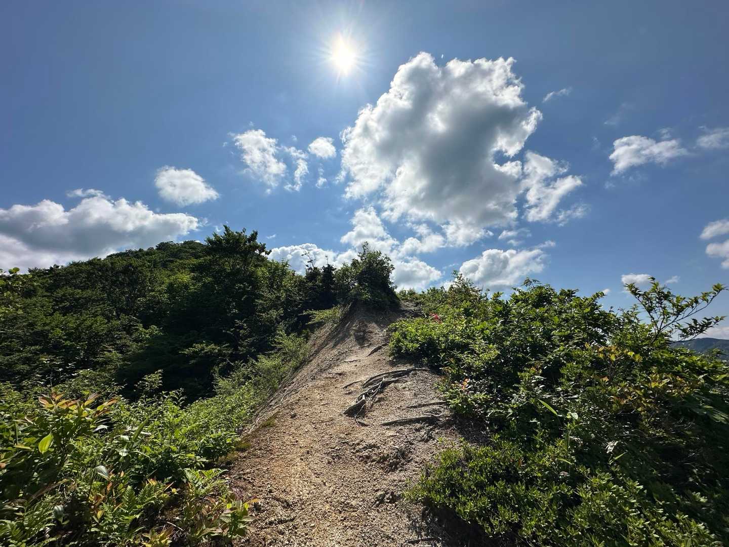 光兎山（中束登山口）の写真