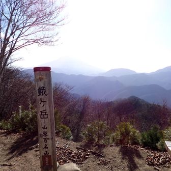 逆光で見にくいけど、肉眼では富士山が綺麗に見えた。