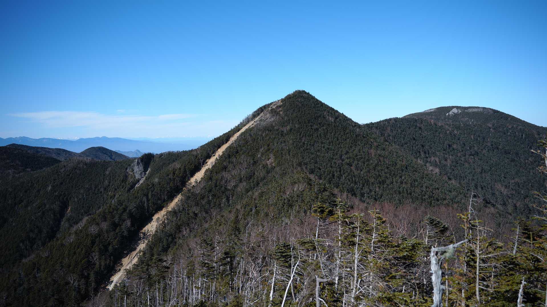 気力を振り絞って甲武信ヶ岳へ。