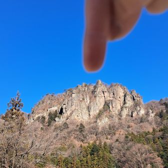 ここの頂上に登ったよ