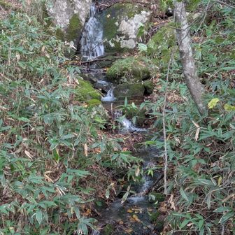 黒檜山を下る清流が大沼へ