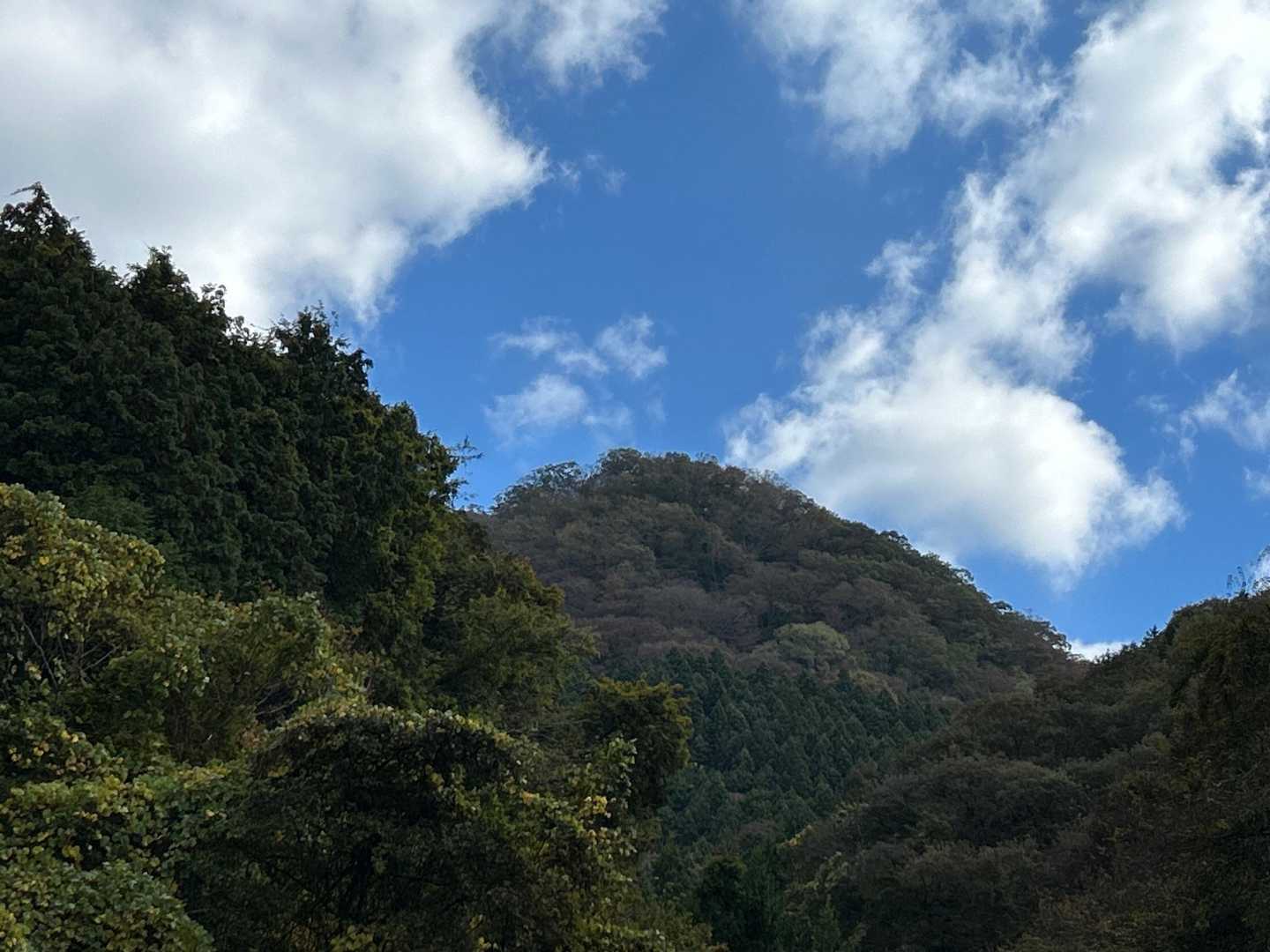 月居山