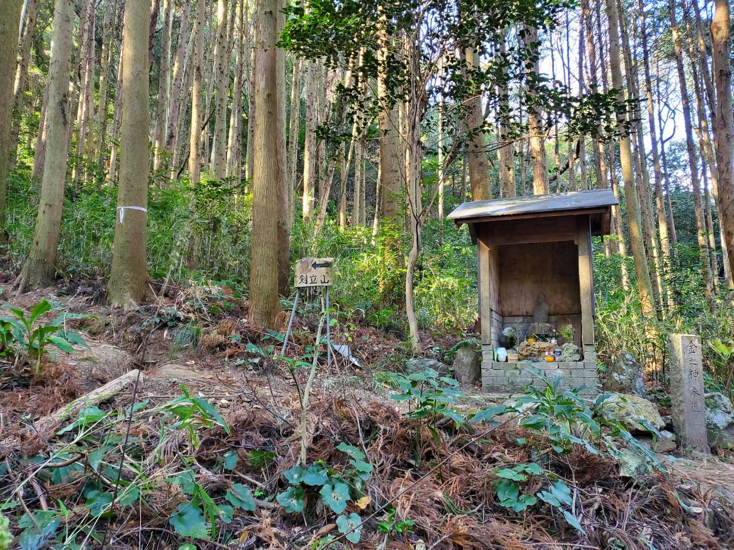 城山 周回コースの写真